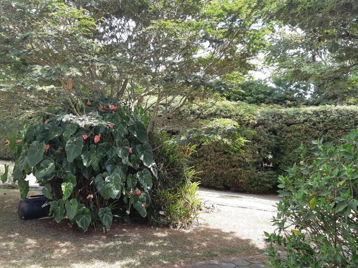 Finca Paraiso Калима Екстериор снимка