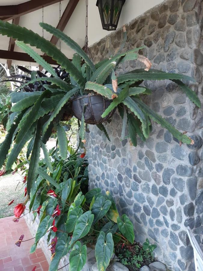 Finca Paraiso Калима Екстериор снимка